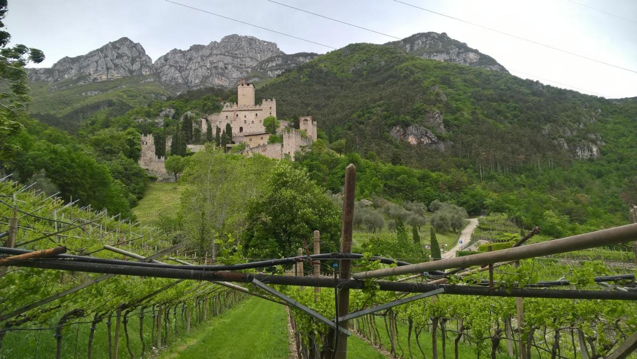 Appartamenti Camere Masi Brenta Rovereto  Exterior foto