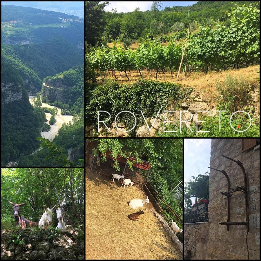 Appartamenti Camere Masi Brenta Rovereto  Exterior foto